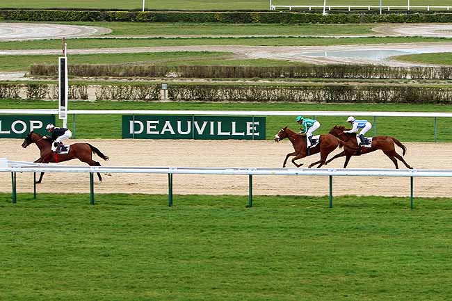 Arrivée quinté pmu PRIX DE LA PERRIERE à DEAUVILLE