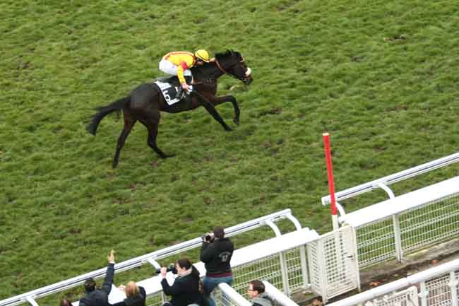 Arrivée quinté pmu PRIX UNIVERS II à AUTEUIL