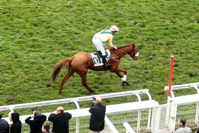 Arrivée quinté pmu PRIX RABASTENS à AUTEUIL