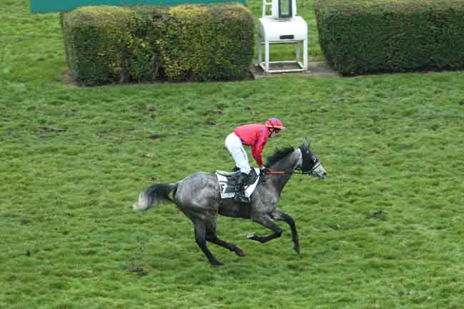 Arrivée quinté pmu PRIX TOFANO à AUTEUIL