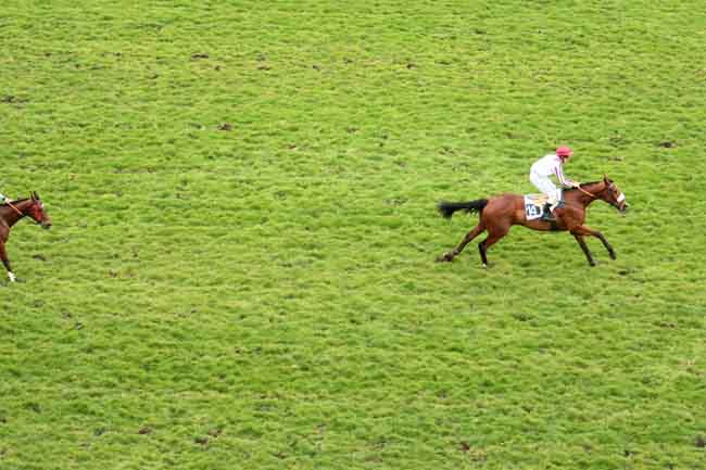 Arrivée quinté pmu PRIX SIMONIAN à AUTEUIL