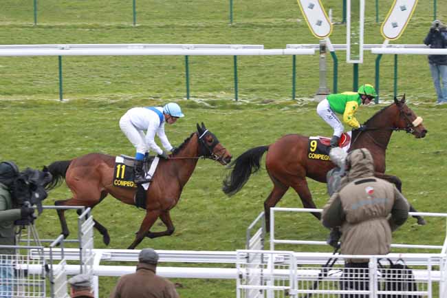 Arrivée quinté pmu PRIX DE LA CROIX SAINT-OUEN à COMPIEGNE