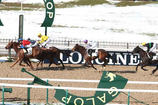 Arrivée quinté pmu PRIX FLYING DUTCHMAN à CHANTILLY