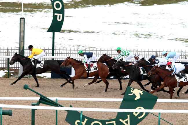 Arrivée quinté pmu PRIX MONTENICA à CHANTILLY