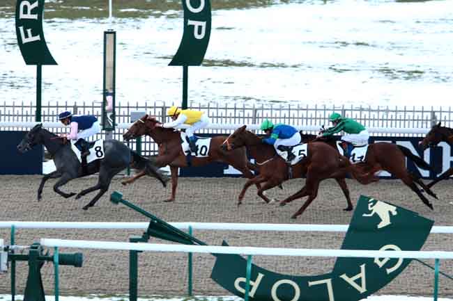 Arrivée quinté pmu PRIX RONDE DE NUIT à CHANTILLY