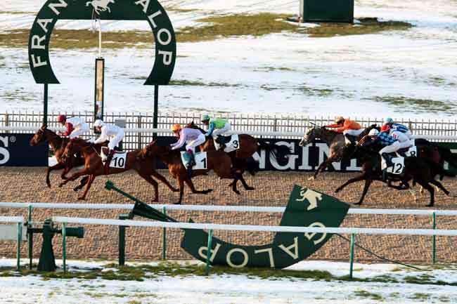 Arrivée quinté pmu PRIX DES PRAIRIES à CHANTILLY