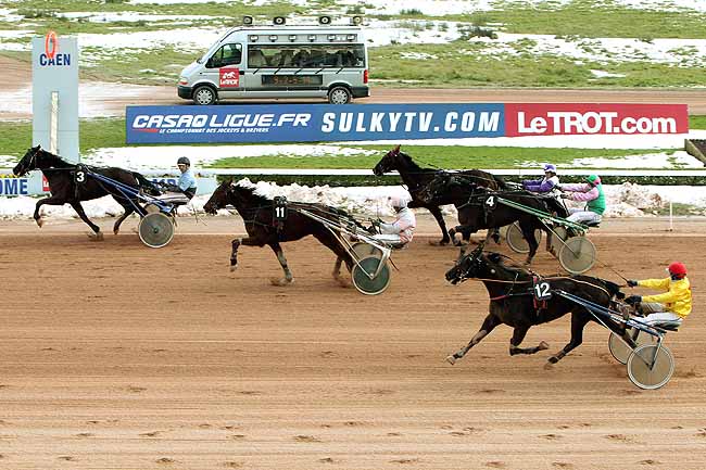 Arrivée quinté pmu PRIX DE LUC-SUR-MER à CAEN