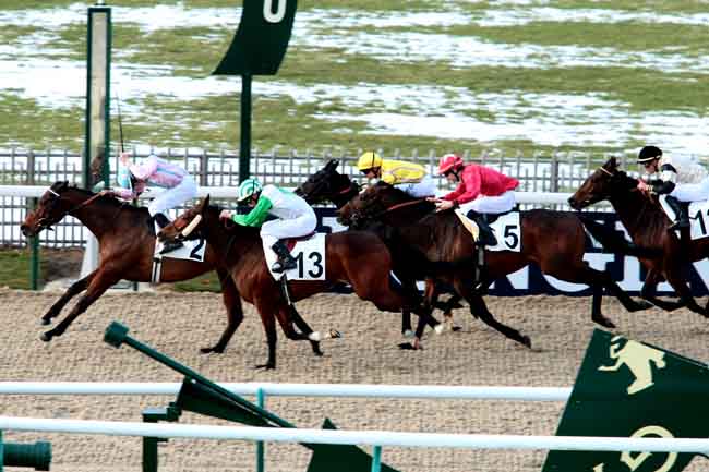 Arrivée quinté pmu PRIX DE LA FORET DE BORD à CHANTILLY