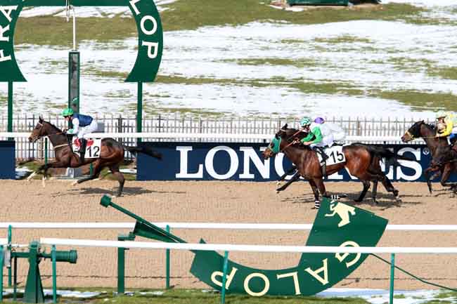 Arrivée quinté pmu PRIX DE LESSARD-LE-CHENE à CHANTILLY