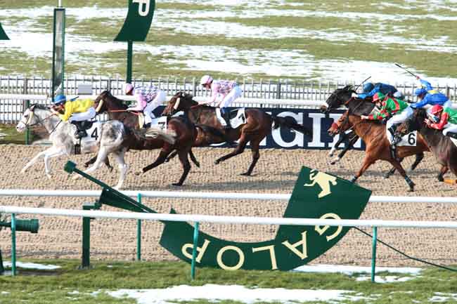 Arrivée quinté pmu PRIX DU BOIS DE LA GRANDE MARE à CHANTILLY
