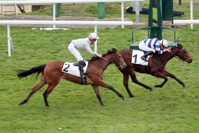 Arrivée quinté pmu PRIX DE LA MARCHE à SAINT-CLOUD