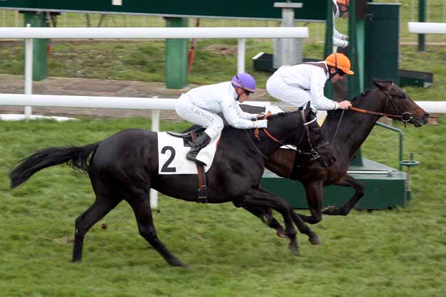 Arrivée quinté pmu PRIX MAURICE CAILLAULT à SAINT-CLOUD