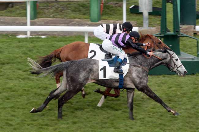 Arrivée quinté pmu PRIX EXBURY à SAINT-CLOUD