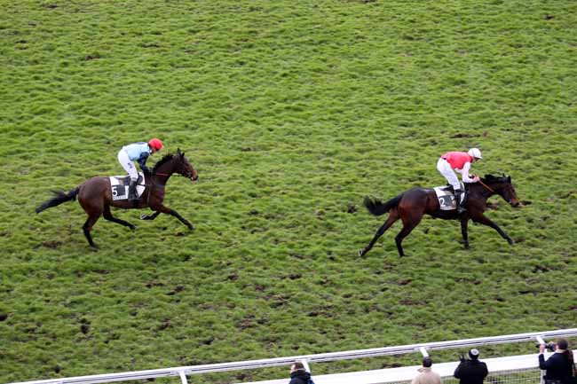 Arrivée quinté pmu PRIX D'INDY à AUTEUIL