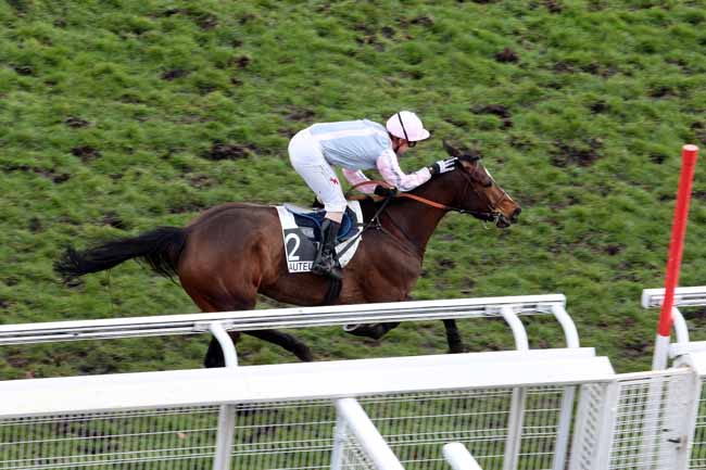 Arrivée quinté pmu PRIX SAMARITAIN à AUTEUIL