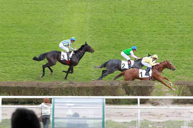 Arrivée quinté pmu PRIX NASRULLAH à SAINT-CLOUD