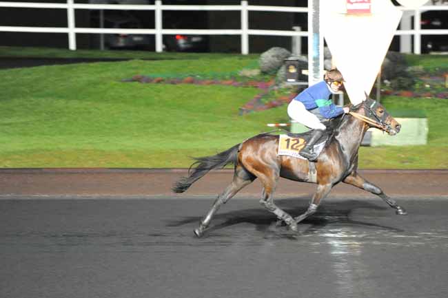 Arrivée quinté pmu PRIX MODESTIA à PARIS-VINCENNES