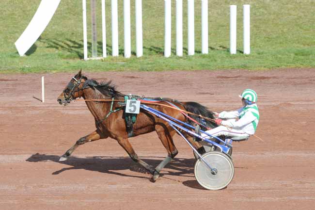 Arrivée quinté pmu GRAND PRIX DURAN DYNAVENA à AGEN LE PASSAGE
