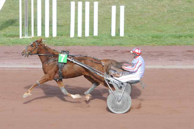 Arrivée quinté pmu PRIX DU COMITE REGIONAL DU TROT (GR B) à AGEN LE PASSAGE