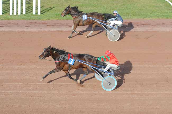 Arrivée quinté pmu PRIX DE L'AGGLOMERATION D'AGEN à AGEN LE PASSAGE
