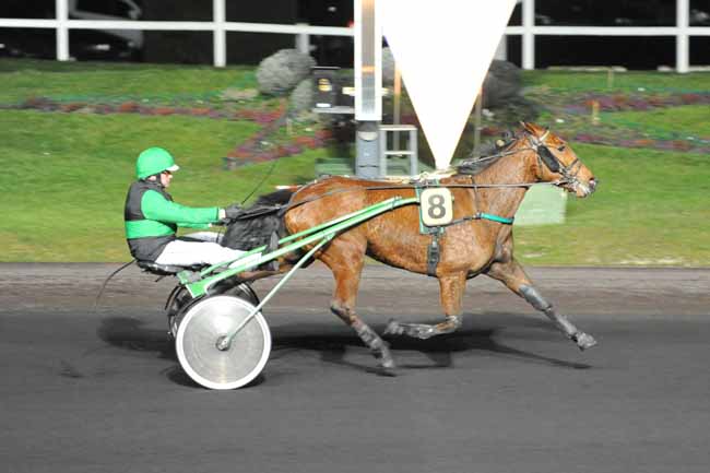 Arrivée quinté pmu PRIX ALCYONE à PARIS-VINCENNES