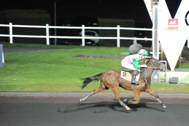 Arrivée quinté pmu PRIX LETO à PARIS-VINCENNES