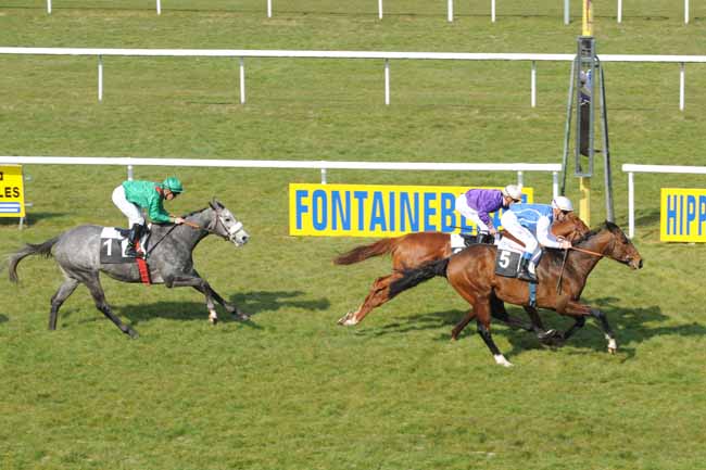 Arrivée quinté pmu PRIX DE LA MALMONTAGNE à FONTAINEBLEAU