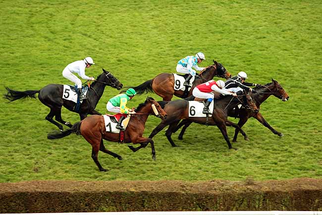 Arrivée quinté pmu PRIX DE CHATOU à SAINT-CLOUD