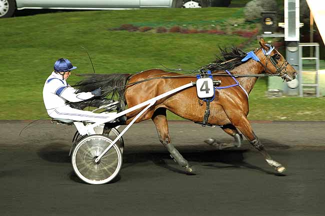 Arrivée quinté pmu PRIX MARTHA à PARIS-VINCENNES