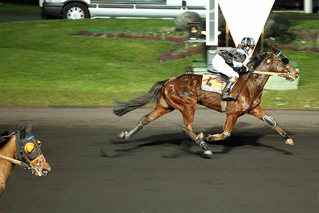 Arrivée quinté pmu PRIX ALGEIBA à PARIS-VINCENNES