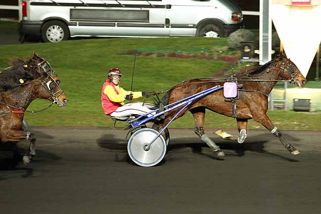Arrivée quinté pmu PRIX AUSONIA à PARIS-VINCENNES