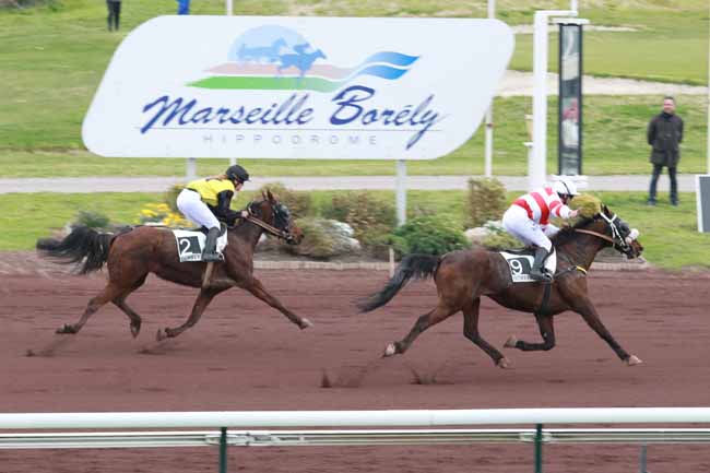 Arrivée quinté pmu PRIX DES CAVES SAINT-MARC DE CAROMB à MARSEILLE-BORELY