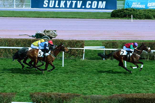 Arrivée quinté pmu PRIX DES BENJAMINS à ENGHIEN