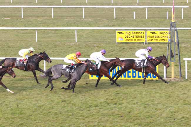 Arrivée quinté pmu PRIX DES CYPRES à FONTAINEBLEAU