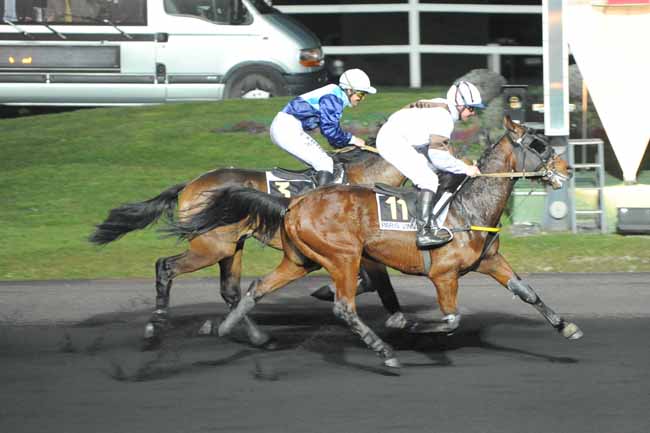 Arrivée quinté pmu PRIX ALCOR à PARIS-VINCENNES