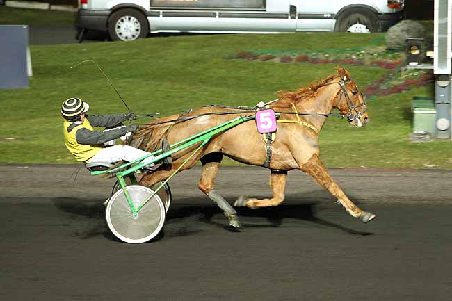 Arrivée quinté pmu PRIX AUGUSTA à PARIS-VINCENNES