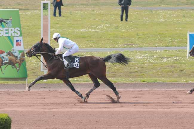 Arrivée quinté pmu PRIX NERIC BARBES à ANGERS
