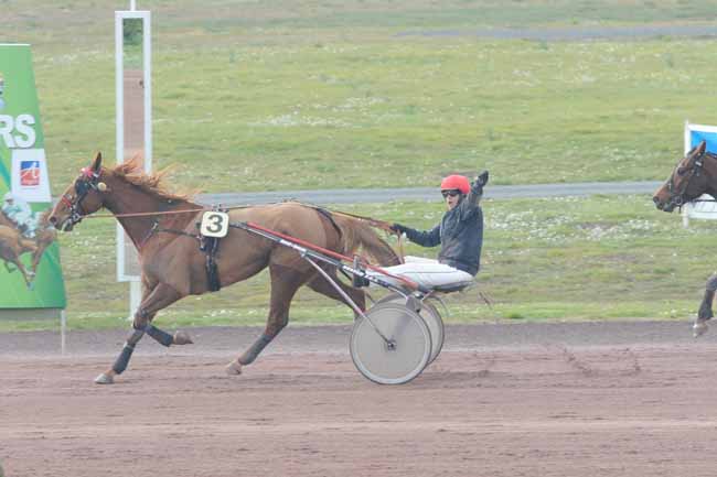 Arrivée quinté pmu PRIX INTERMEDE à ANGERS