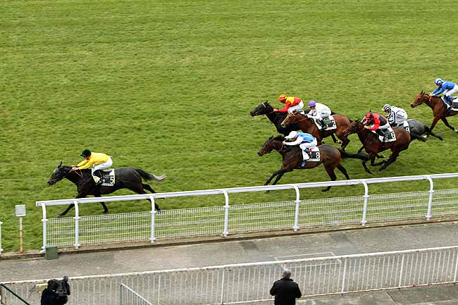 Arrivée quinté pmu PRIX DJEBEL à MAISONS-LAFFITTE