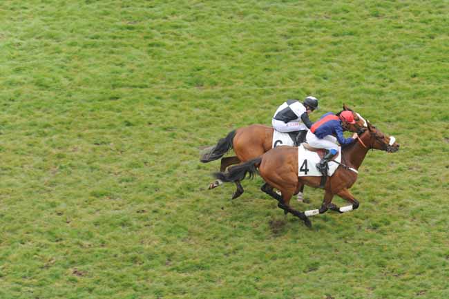 Arrivée quinté pmu PRIX CHAMPAUBERT à AUTEUIL