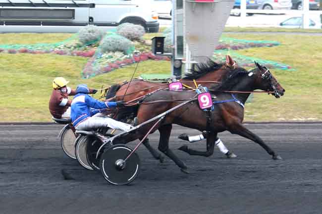 Arrivée quinté pmu PRIX DU TREPORT à PARIS-VINCENNES