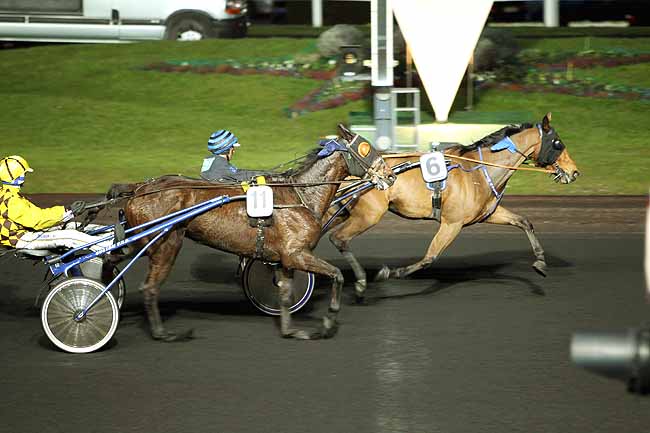 Arrivée quinté pmu PRIX ALBIREO à PARIS-VINCENNES
