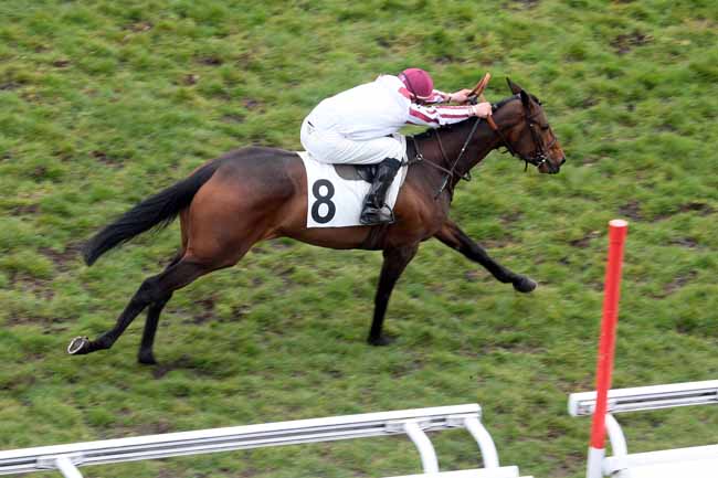 Arrivée quinté pmu PRIX TURCO à AUTEUIL