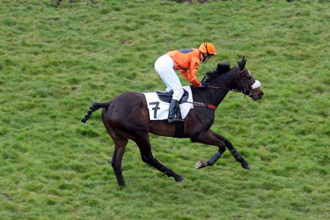 Arrivée quinté pmu PRIX MAGUELONNE à AUTEUIL