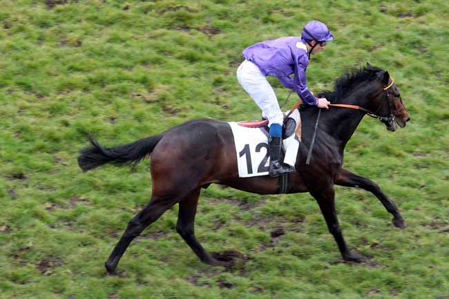 Arrivée quinté pmu PRIX CLAUDE COHEN à AUTEUIL