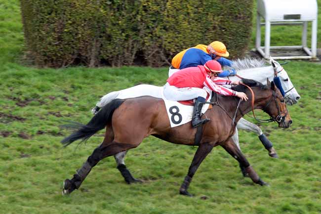 Arrivée quinté pmu PRIX DE SAUMUR à AUTEUIL