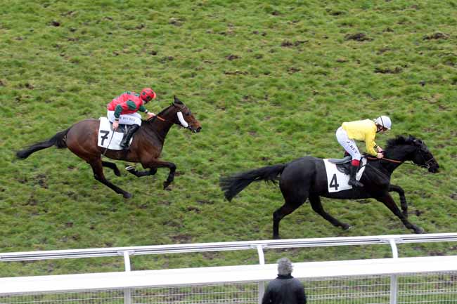 Arrivée quinté pmu PRIX LE HON à AUTEUIL