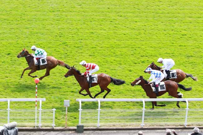 Arrivée quinté pmu PRIX MEMORANDUM à MAISONS-LAFFITTE