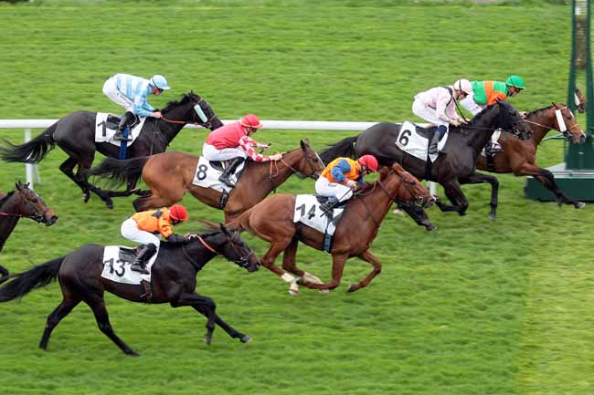 Arrivée quinté pmu PRIX ALPES COTE D'AZUR à SAINT-CLOUD