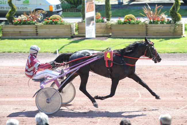 Arrivée quinté pmu PRIX DE LA VILLE DE CORDEMAIS à CORDEMAIS